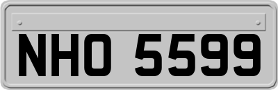NHO5599