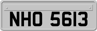 NHO5613