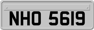 NHO5619