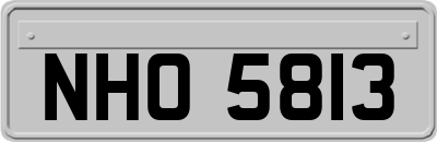 NHO5813