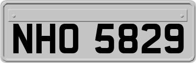 NHO5829