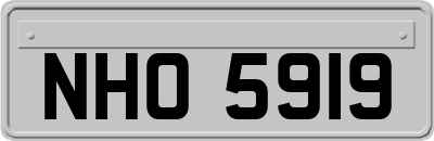 NHO5919