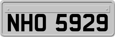 NHO5929
