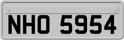 NHO5954