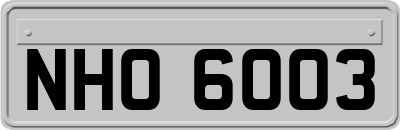 NHO6003