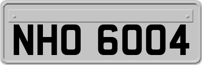 NHO6004
