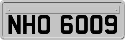 NHO6009