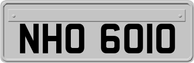 NHO6010