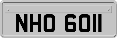 NHO6011