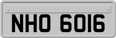 NHO6016
