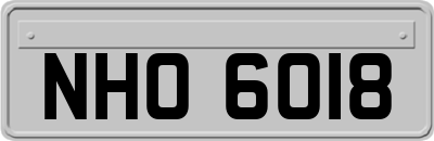 NHO6018