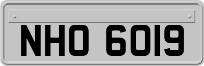 NHO6019