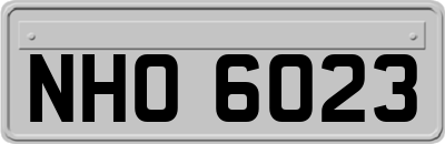 NHO6023