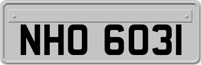 NHO6031