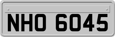 NHO6045