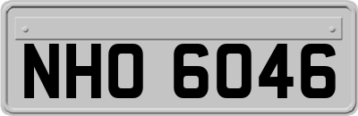 NHO6046