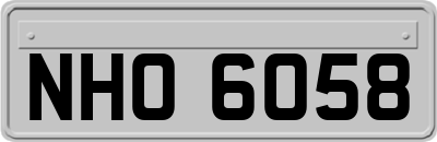 NHO6058