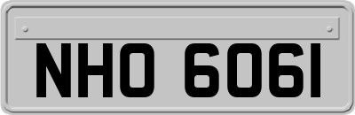 NHO6061