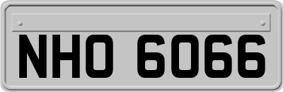 NHO6066