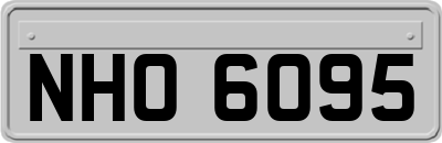 NHO6095