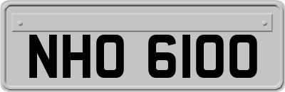 NHO6100