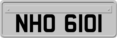 NHO6101
