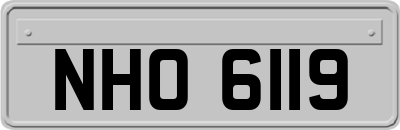 NHO6119