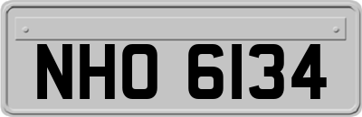 NHO6134