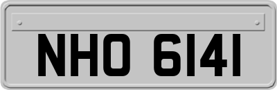 NHO6141