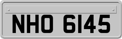 NHO6145