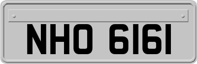 NHO6161