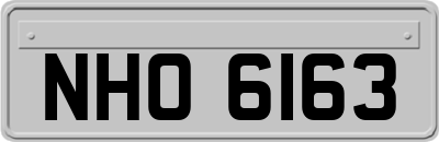 NHO6163