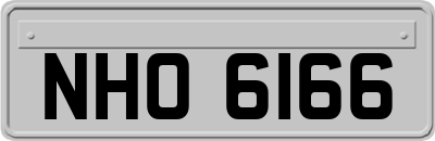 NHO6166