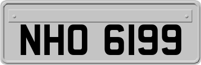 NHO6199