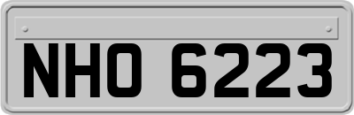 NHO6223