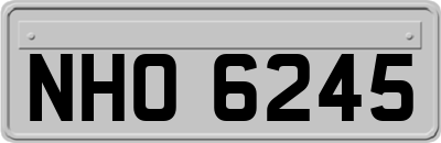 NHO6245