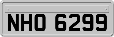 NHO6299