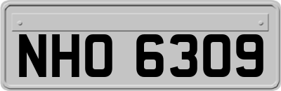 NHO6309