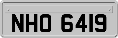 NHO6419
