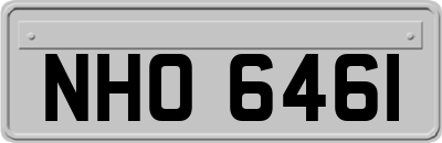 NHO6461