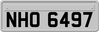 NHO6497