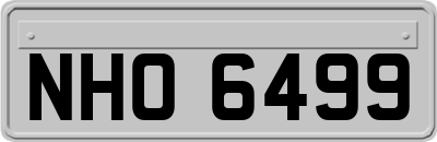 NHO6499