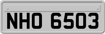 NHO6503