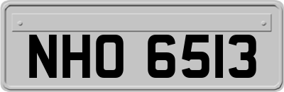 NHO6513