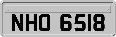 NHO6518