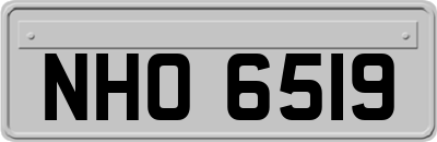 NHO6519