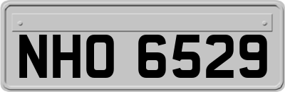 NHO6529