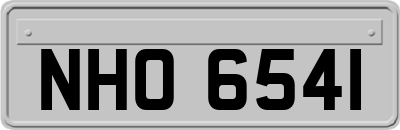 NHO6541
