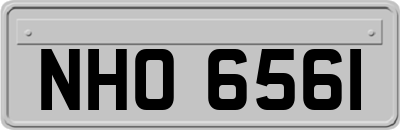 NHO6561
