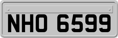 NHO6599
